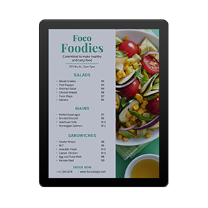 13.3英寸Spectra 6全彩电子墨水屏